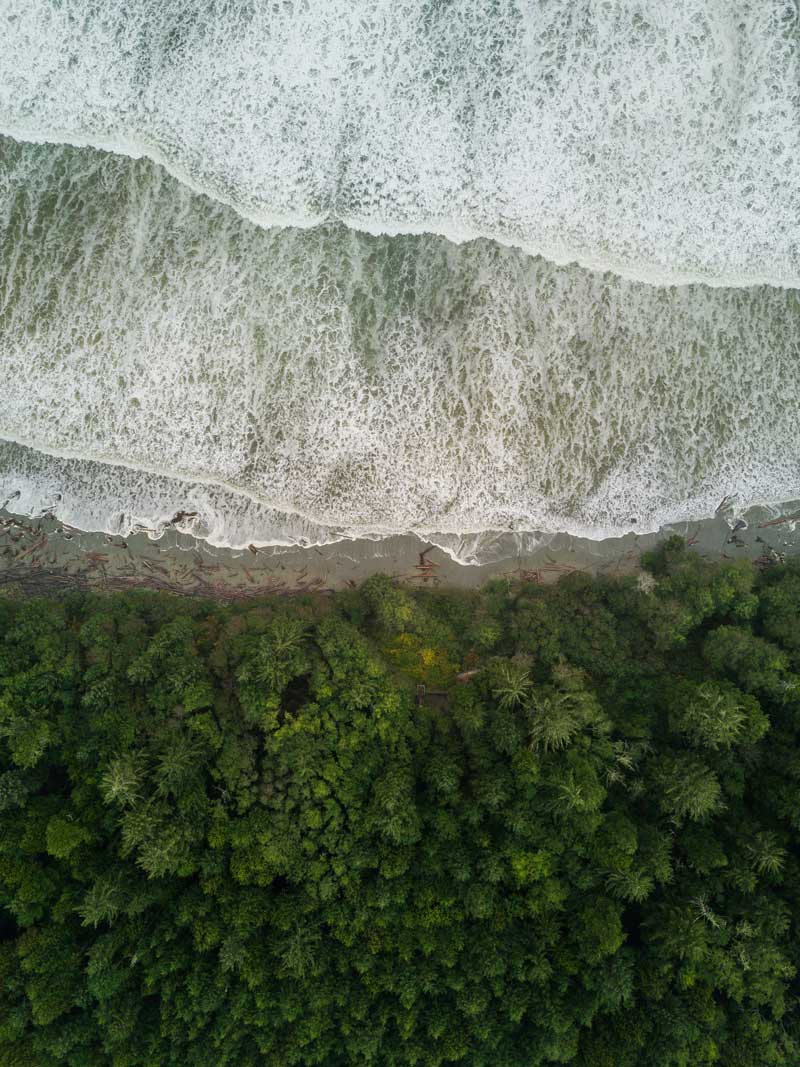 Aerial view of the shore with water, a thin "borderline' of sand, and then the trees on land.